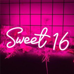 Sweet 16 Sixteenth Birthday Quinceanera Celebration Party Pink LED Neon Light